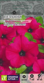 Петуния Карпет Вельвет/Сем Алт/цп 10 шт.