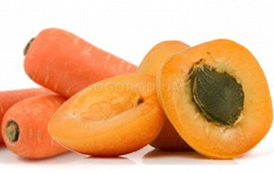 Нектар морковь-абрикос