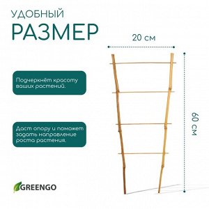 Шпалера, 60x20x1 см, бамбук, «Одинарная», Greengo