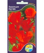 цветы