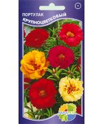 цветы
