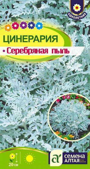 Цинерария Серебряная Пыль/Сем Алт/цп 0,05 гр.