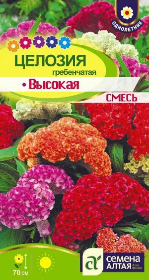 Цветы Целозия Высокая смесь гребенчатая/Сем Алт/цп 0,1 гр.