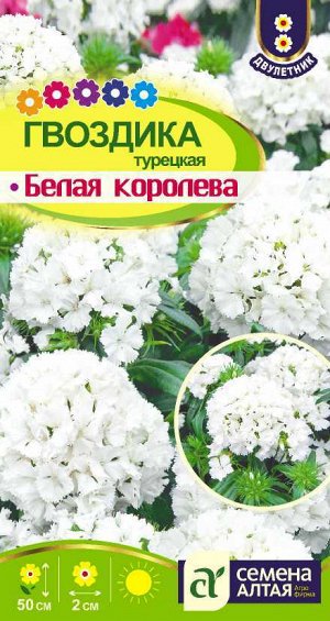 Гвоздика турецкая Белая Королева/Сем Алт/цп 0,1 гр.