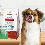 Monge, Gemon корма сухие и влажные корма для собак