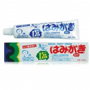 Отбеливающая зубная паста для защиты от кариеса и зубного камня Fudo Kagaku Binotomo salt солёная, 120 г