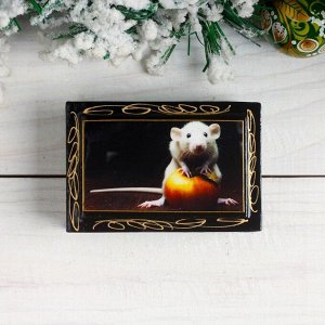 Шкатулка «Крыска с яблоком», 6-9-4 см, лаковая миниатюра