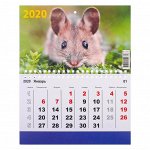 Календарь моно &quot;Символ года-21&quot; 2020 год, 20 ? 12 см   4414123