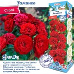 Роза Таманго (Спрей) 1шт (Сиб сад)