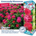 Роза Александр Маккензи (Канадская/Парковая) 2 разбор 1шт (Сиб сад)