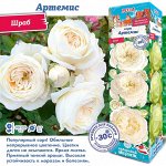 Роза Артемис (Шраб) 1шт (Сиб сад)