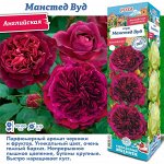 Английские