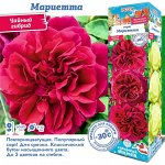 Роза Мариетта (Чайно-гибридная) 2 разбор 1шт (Сиб сад)
