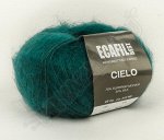 Cielo 1828