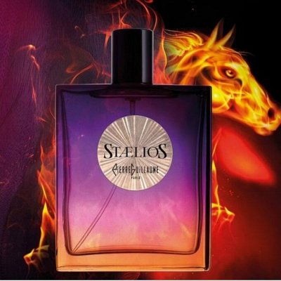 Эксклюзив, в России нет! Staelios Pierre Guillaume Paris