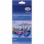 Карандаши акварельные Гамма &quot;Лицей&quot;, 12цв., шестигранные, заточен., с кистью, картон. упак., европодвес