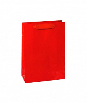 Пакет бумажный "Кайман" красный  25х18х8см ВК 452-А-25  ВЭД