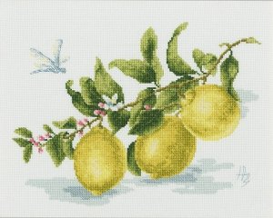 Набор "Веточка лимона"