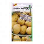 Семена Картофель &quot;Ривьера&quot;, 25 шт