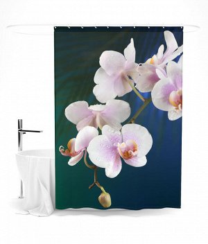 Шторка для ванной "Белая орхидея на синем"