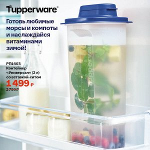 Контейнер «Универсал» (2 л) со вставкой-ситом