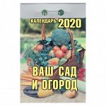 Отрывной календарь &quot;Ваш сад и огород&quot; 2020 год