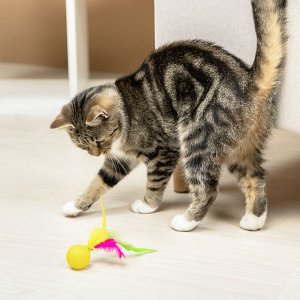 VETTA Игрушка для домашних животных, набор 2 шт, шарики с перьями, пластмасса