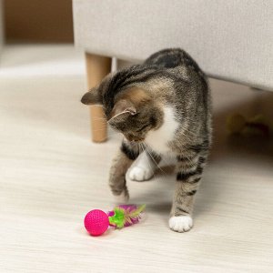 VETTA Игрушка для домашних животных, набор 2 шт, шарики с перьями, пластмасса