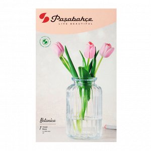PASABAHCE Ваза "Botanica" h23см, стекло, 80396B