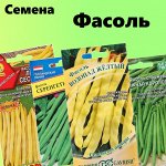 Семена фасоли