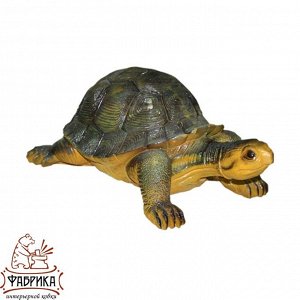 Черепашка Размеры (ШхВхД): 250 x 200 x 350
Вес: 2,4 кг.
Декоративная фигура Черепашка выполнена в натуральном исполнении. Фигура Черепахи будет выглядеть естесственно в вашем саду, благодаря своей окр
