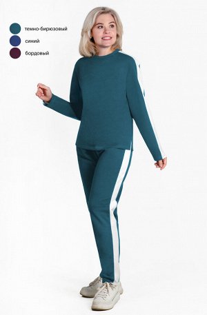 Костюм Пикник К-362 (42-60) футер двунитка