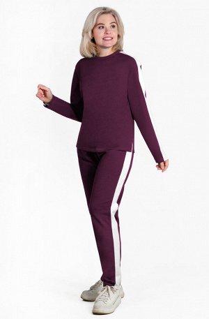 Костюм Пикник К-362 (42-60) футер двунитка