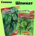 Семена шпината