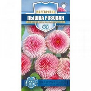 Маргаритка Пышка розовая (Гавр)