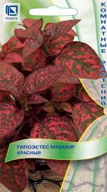Гипоэстес Мрамор &quot;Красный&quot;