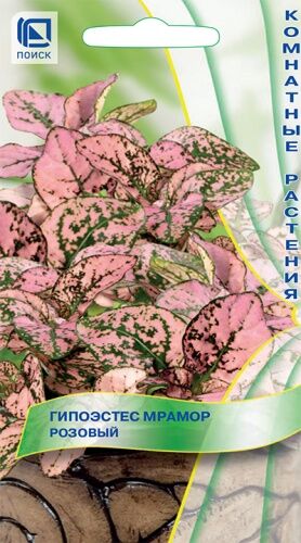 Гипоэстес Мрамор Розовый (ЦВ) ("К) 7шт.