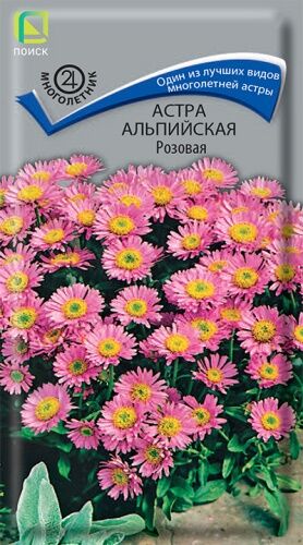 Астра альпийская Розовая (ЦВ) ("М) 0,04гр.