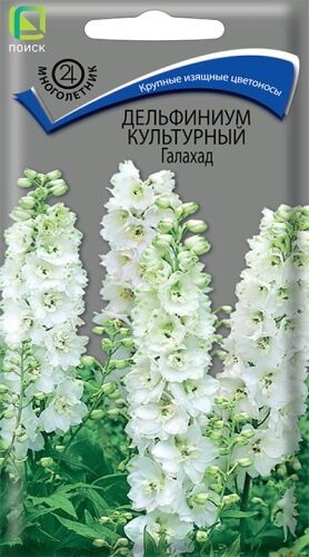 Дельфиниум культурный Галахад (ЦВ) ("М) 0,1гр.