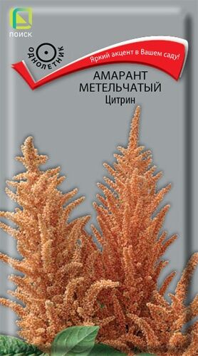 Амарант метельчатый Цитрин (ЦВ) ("1) 0,05гр.