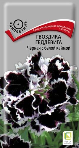 Гвоздика Геддевига Чёрная с белой каймой (ЦВ) ("1) 0,04гр.