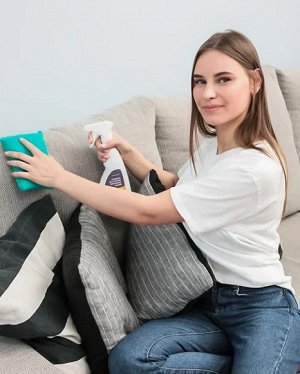 Средство для чистки мебельных тканей (универсальное)