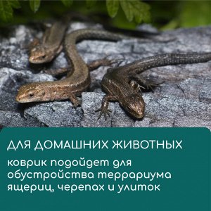 Коврик из кокосового волокна, для выращивания микрозелени, 50x25 см, Greengo