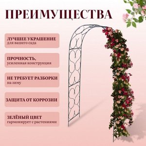 Арка садовая, 230 * 120 * 51 см, для вьющихся растений, металлическая, зелёная