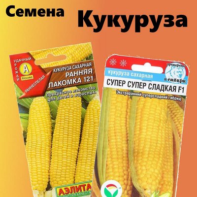 СКОРО НА ДАЧУ! Семена, Инструменты, Удобрения, От вредителей