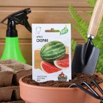 Семена Арбуз &quot;Скорик&quot;, ц/п,  1 г  серия ХИТ х3
