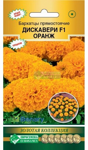 Бархатцы прямостоячие Дискавери Оранж F1 (10 шт)