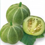 Огурдыня — хит от Садов Азии