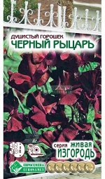 Душистый горошек Черный Рыцарь (10 шт)