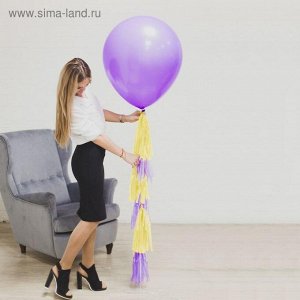 Воздушный шар, 24", фиолетовый, с тассел лентой